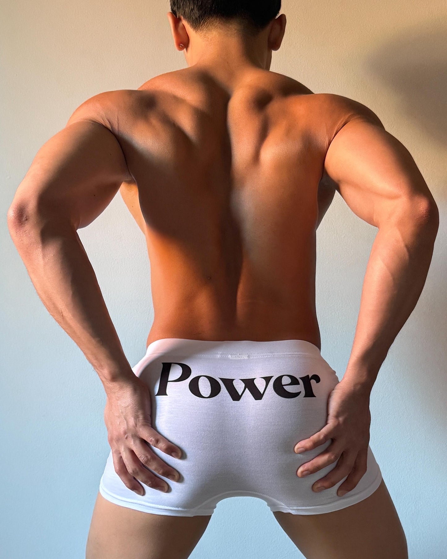 Power Bottom Briefs