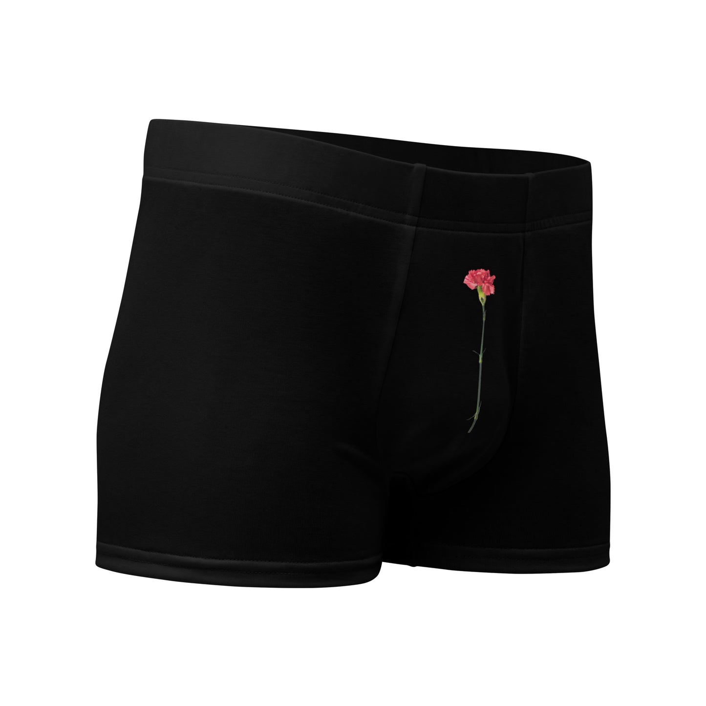 VOYOU RED CARATION Boxer Briefs