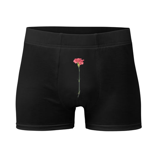 VOYOU RED CARATION Boxer Briefs