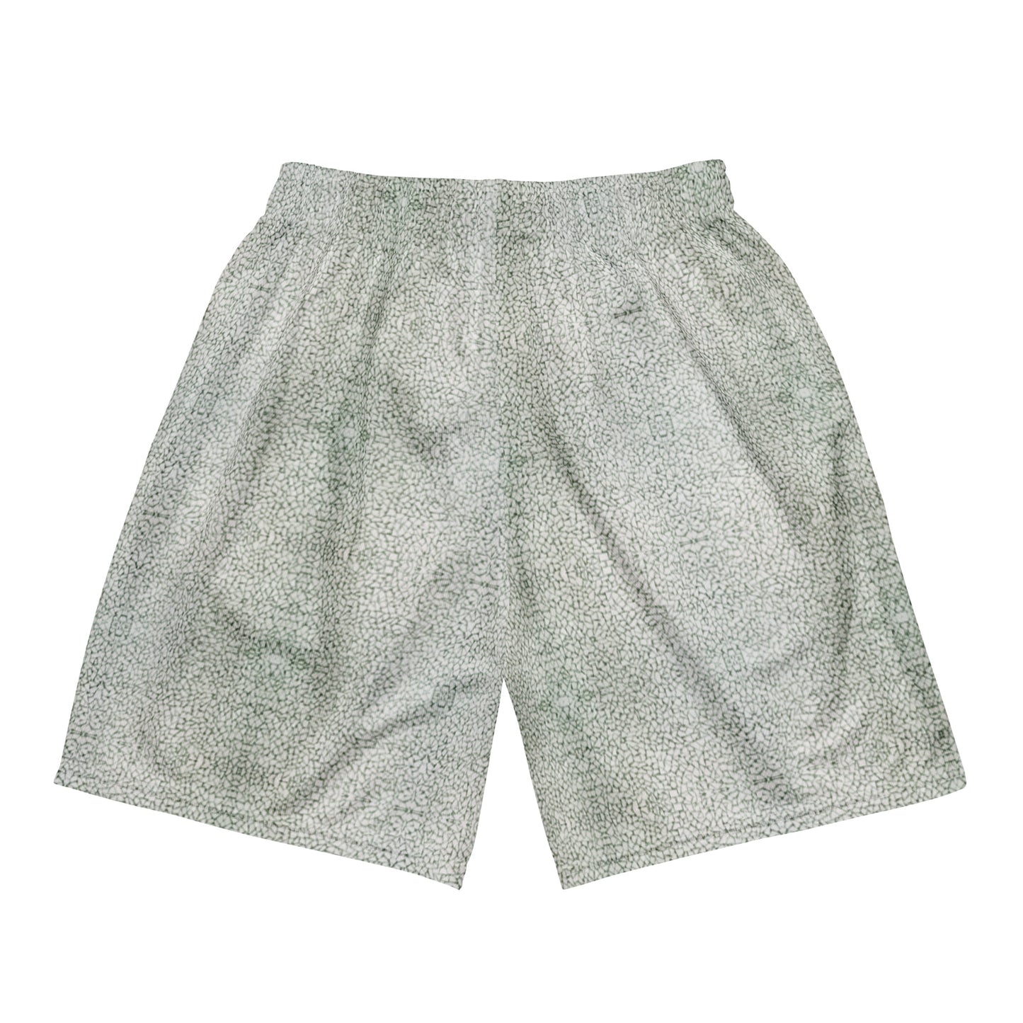 BRERA mesh shorts