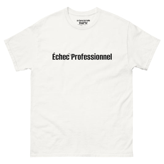 ECHEC PROFESSIONNEL T